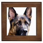German Shepherd Dog Framed Tile
