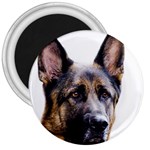 German Shepherd Dog 3  Magnet