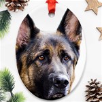 German Shepherd Dog Ornament (Oval)