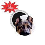 German Shepherd Dog 1.75  Magnet (10 pack) 
