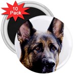 German Shepherd Dog 3  Magnet (10 pack)
