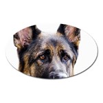 German Shepherd Dog Magnet (Oval)