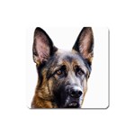 German Shepherd Dog Magnet (Square)