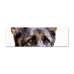 German Shepherd Dog Sticker Bumper (10 pack)