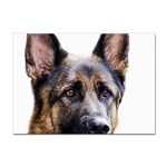 German Shepherd Dog Sticker A4 (10 pack)