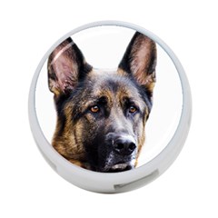 German Shepherd Dog 4 Back