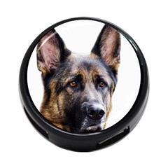 German Shepherd Dog 4 Back