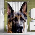German Shepherd Dog Shower Curtain 48  x 72  (Small)