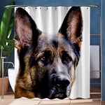 German Shepherd Dog Shower Curtain 60  x 72  (Medium)