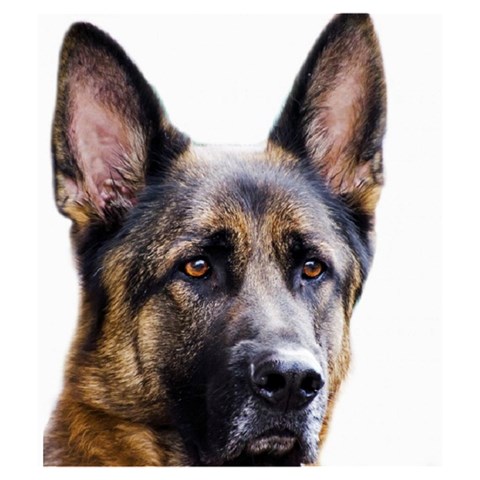 German Shepherd Dog Drawstring Pouch (Medium) from ArtsNow.com Front