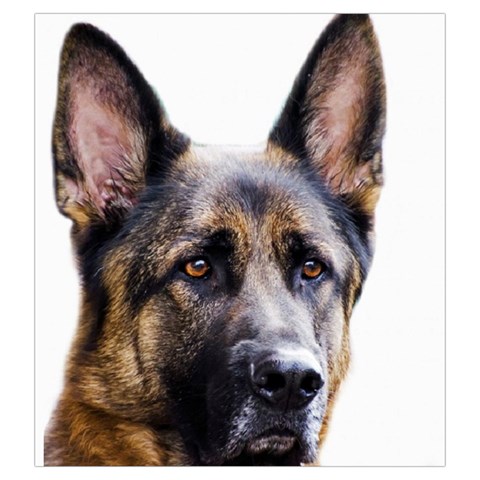German Shepherd Dog Drawstring Pouch (Large) from ArtsNow.com Front