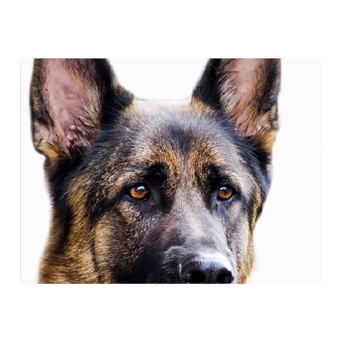 German Shepherd Dog Double Sided Flano Blanket (Mini) from ArtsNow.com 35 x27  Blanket Front