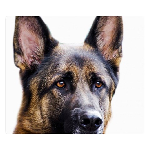 German Shepherd Dog Double Sided Flano Blanket (Small) from ArtsNow.com 50 x40  Blanket Front