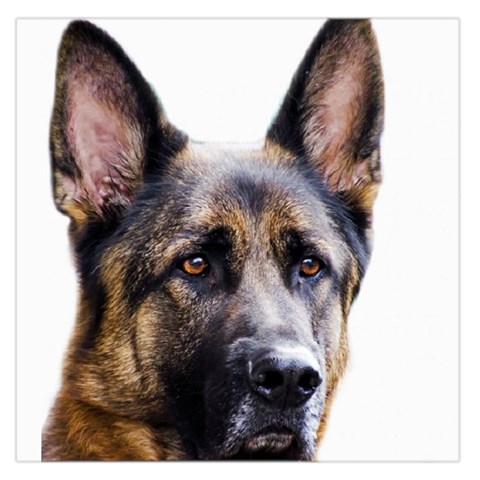 German Shepherd Dog Large Satin Scarf (Square) from ArtsNow.com Front