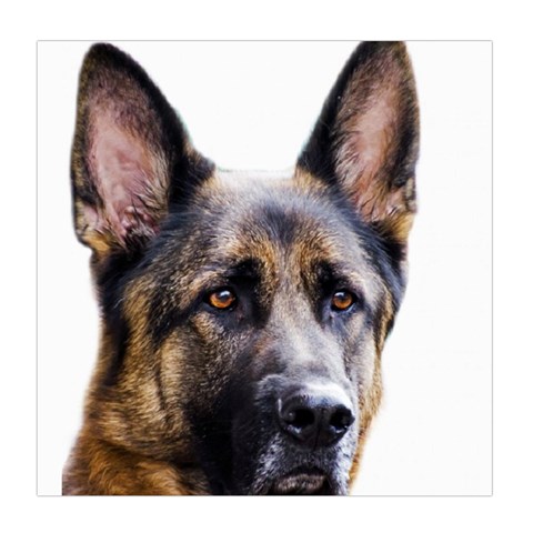 German Shepherd Dog Duvet Cover Double Side (Queen Size) from ArtsNow.com Back