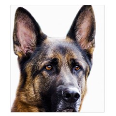 German Shepherd Dog Duvet Cover Double Side (King Size) from ArtsNow.com Back