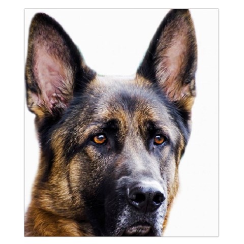 German Shepherd Dog Duvet Cover Double Side (California King Size) from ArtsNow.com Back
