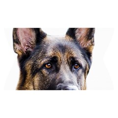 German Shepherd Dog Yoga Cropped Leggings from ArtsNow.com Waistband Front