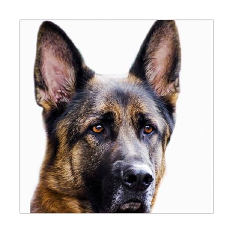 German Shepherd Dog Square Tapestry (Large) from ArtsNow.com Front
