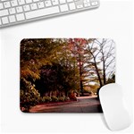 Leo Harrison St Pk  Path 2 Small Mousepad