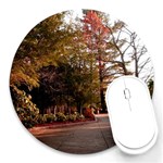 Leo Harrison St Pk  Path 2 Round Mousepad