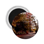 Leo Harrison St Pk  Path 2 2.25  Magnet