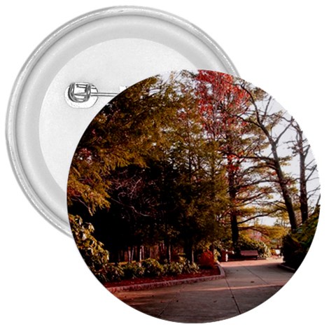Leo Harrison St Pk  Path 2 3  Button from ArtsNow.com Front