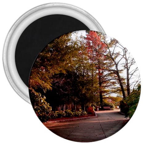 Leo Harrison St Pk  Path 2 3  Magnet from ArtsNow.com Front