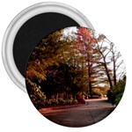 Leo Harrison St Pk  Path 2 3  Magnet