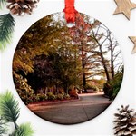 Leo Harrison St Pk  Path 2 Ornament (Round)