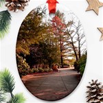 Leo Harrison St Pk  Path 2 Ornament (Oval)