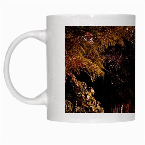 Leo Harrison St Pk  Path 2 White Mug from ArtsNow.com Left