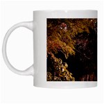 Leo Harrison St Pk  Path 2 White Mug