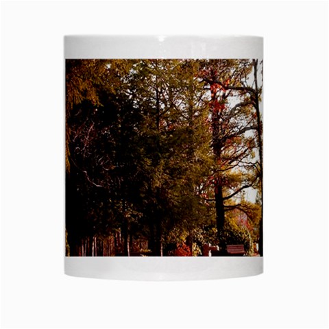Leo Harrison St Pk  Path 2 White Mug from ArtsNow.com Center