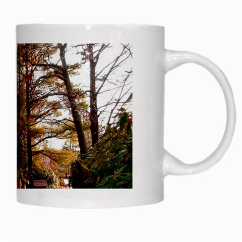 Leo Harrison St Pk  Path 2 White Mug from ArtsNow.com Right