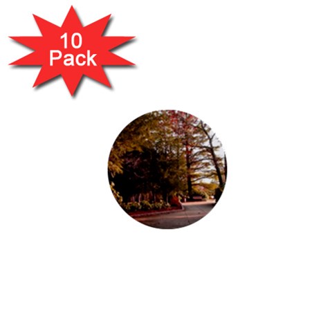 Leo Harrison St Pk  Path 2 1  Mini Button (10 pack)  from ArtsNow.com Front