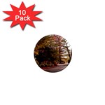 Leo Harrison St Pk  Path 2 1  Mini Magnet (10 pack) 