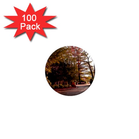Leo Harrison St Pk  Path 2 1  Mini Magnet (100 pack)  from ArtsNow.com Front