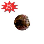 Leo Harrison St Pk  Path 2 1  Mini Magnet (100 pack) 