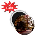 Leo Harrison St Pk  Path 2 1.75  Magnet (10 pack) 