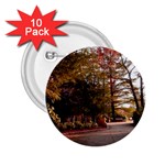 Leo Harrison St Pk  Path 2 2.25  Button (10 pack)