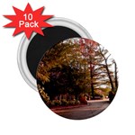 Leo Harrison St Pk  Path 2 2.25  Magnet (10 pack)