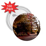 Leo Harrison St Pk  Path 2 2.25  Button (100 pack)