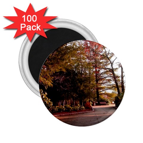 Leo Harrison St Pk  Path 2 2.25  Magnet (100 pack)  from ArtsNow.com Front