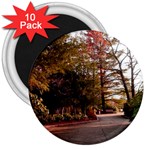 Leo Harrison St Pk  Path 2 3  Magnet (10 pack)