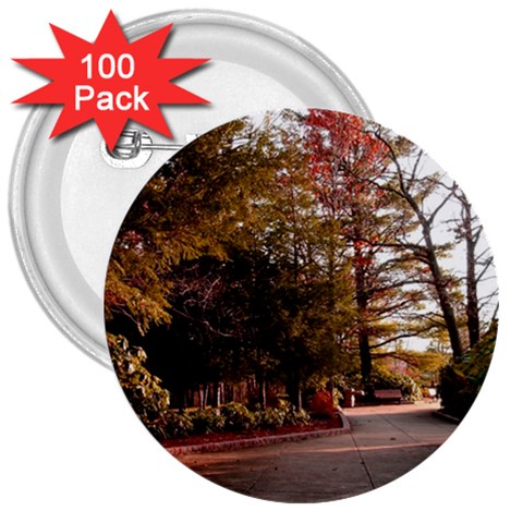 Leo Harrison St Pk  Path 2 3  Button (100 pack) from ArtsNow.com Front