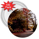 Leo Harrison St Pk  Path 2 3  Button (100 pack)