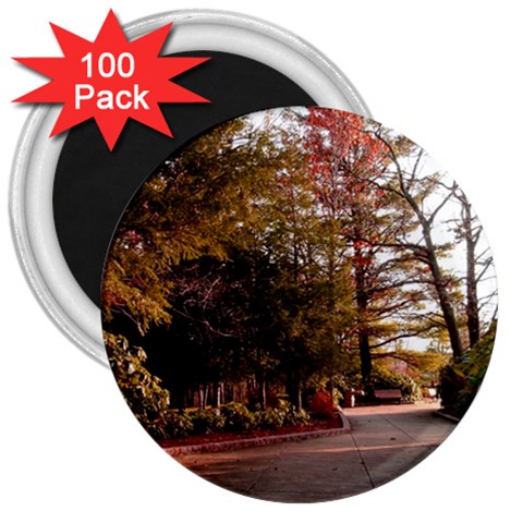 Leo Harrison St Pk  Path 2 3  Magnet (100 pack) from ArtsNow.com Front