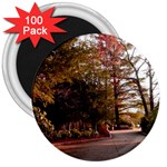 Leo Harrison St Pk  Path 2 3  Magnet (100 pack)
