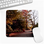Leo Harrison St Pk  Path 2 Large Mousepad